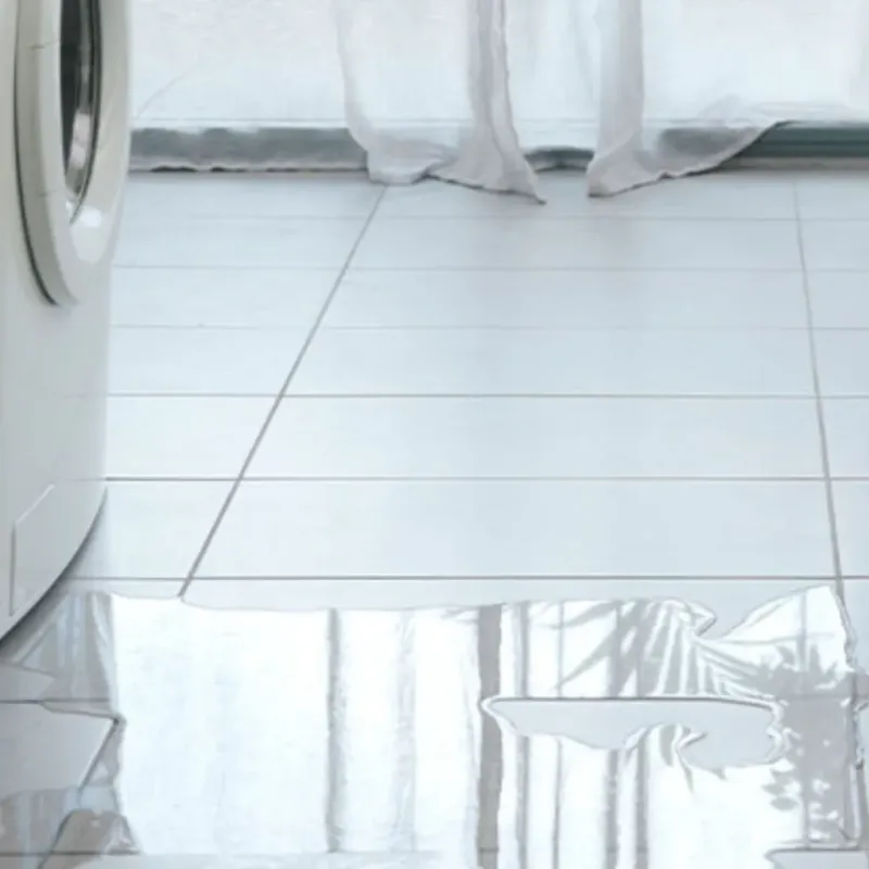 Appliance Leak Cleanup in Oak Hill, TN