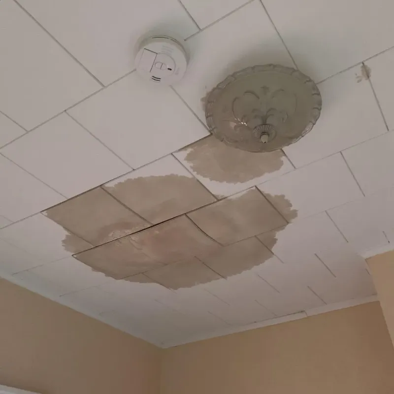 Ceiling Water Damage Repair in Oak Hill, TN