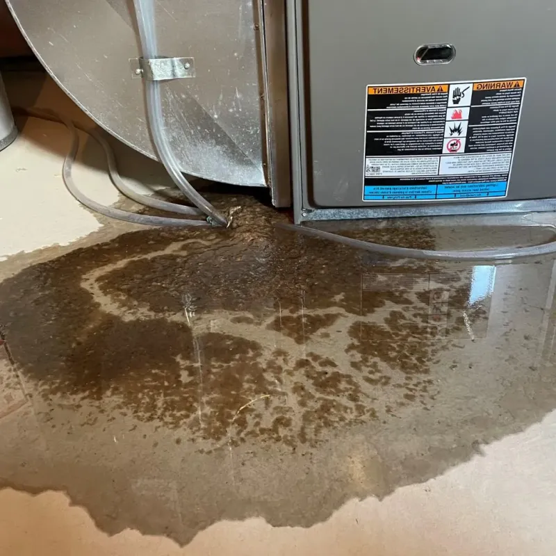 Pipe Burst and Leak Restoration in Oak Hill, TN
