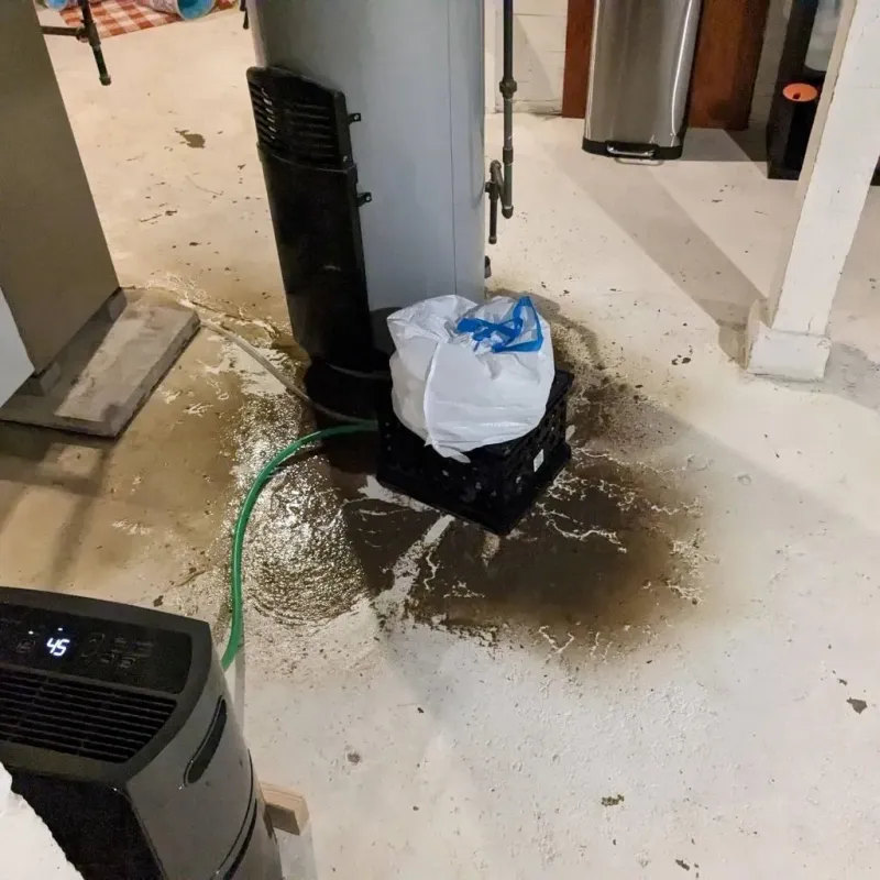 Sewage Backup Cleanup Service in Oak Hill, TN